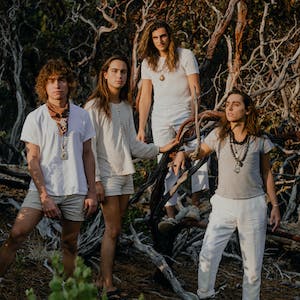 Greta Van Fleet - inkbox artist