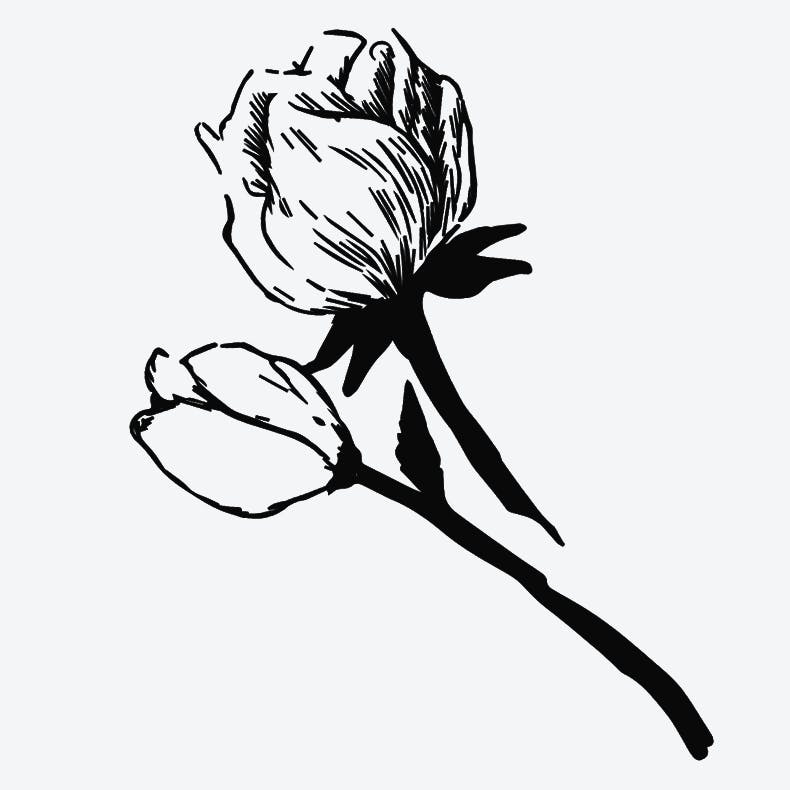 BTS FAKE LOVE Flower Buds