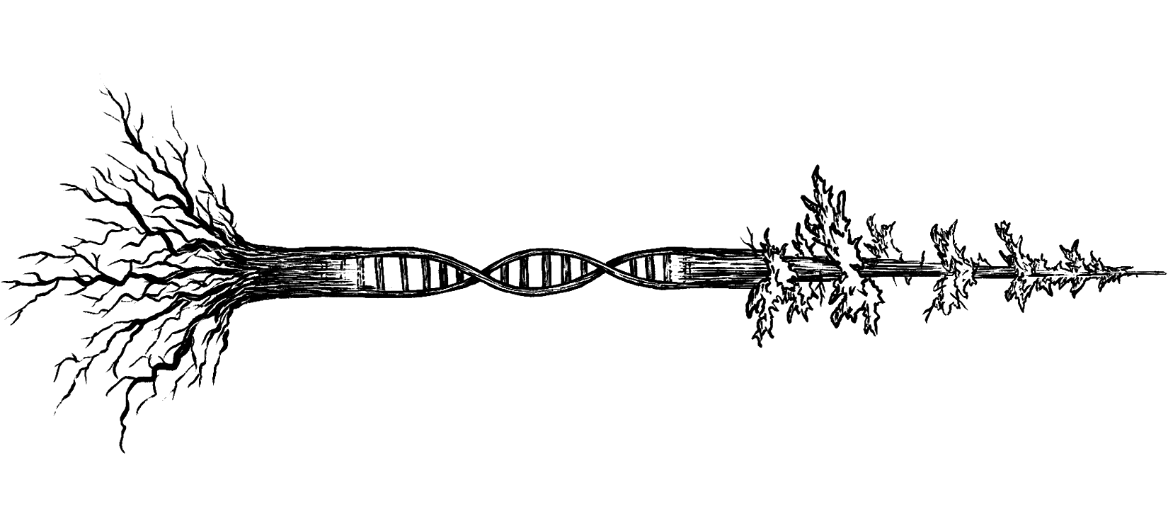 Chrome Tattoos: The Future of Realism \u0026 3D Ink, image size:790x1690