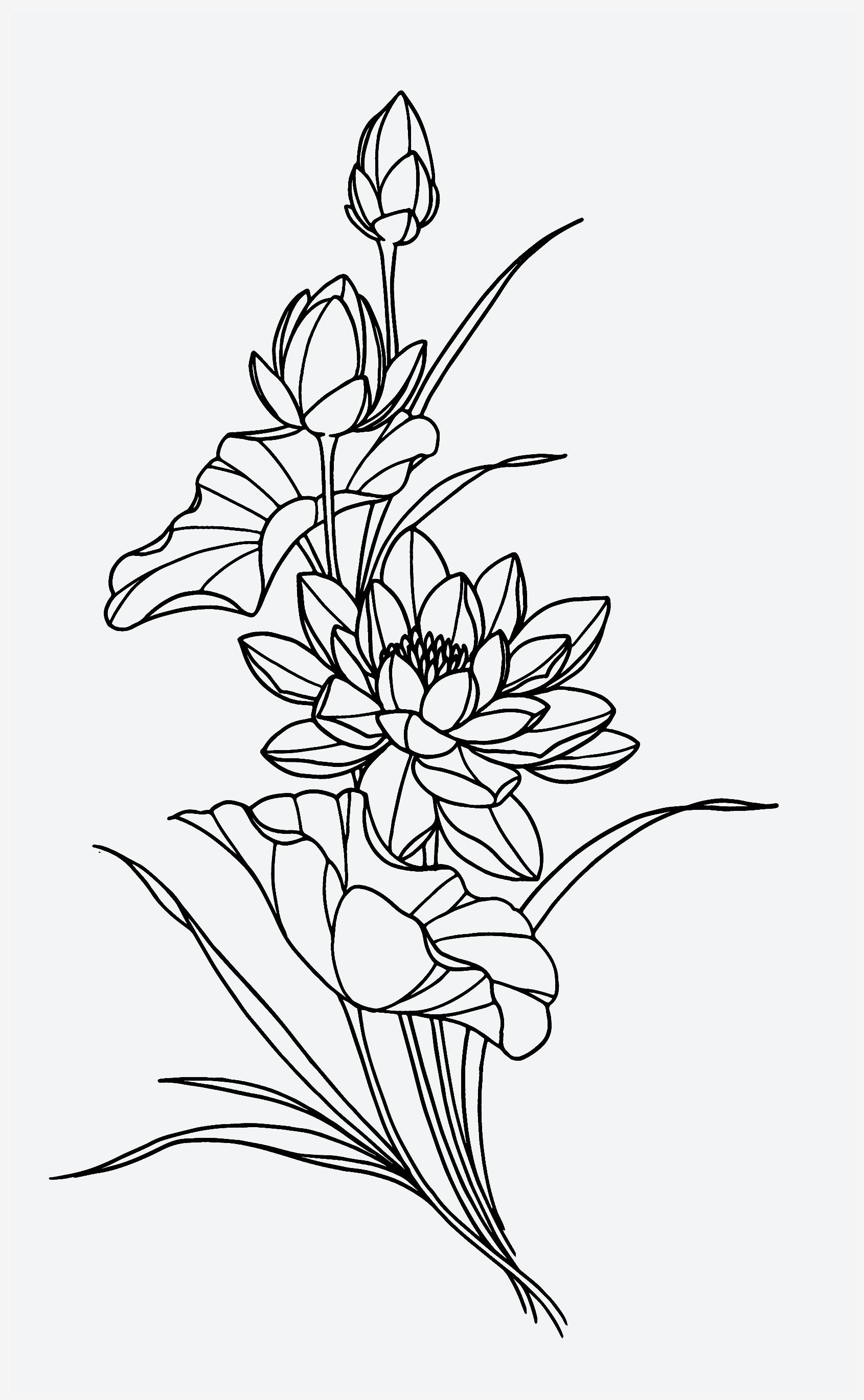 Tattoos of Water Lily Flowers: Elegant & Natural