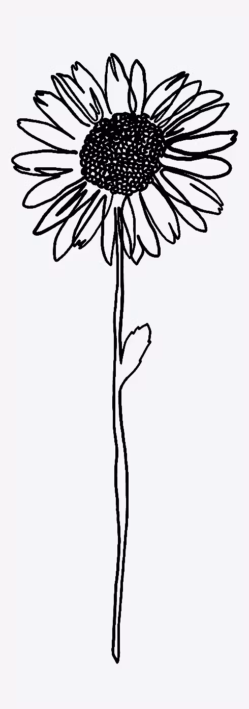 Pushing Daisies