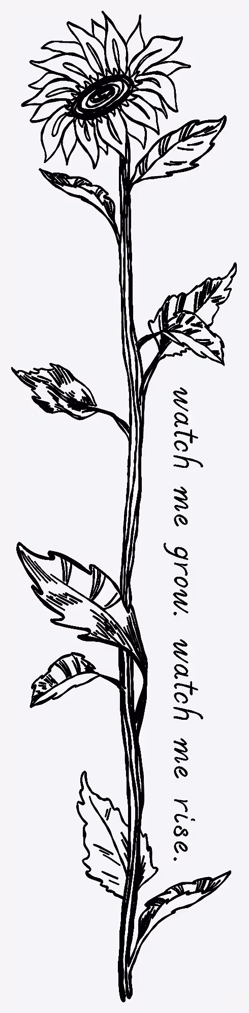 Grow and Rise