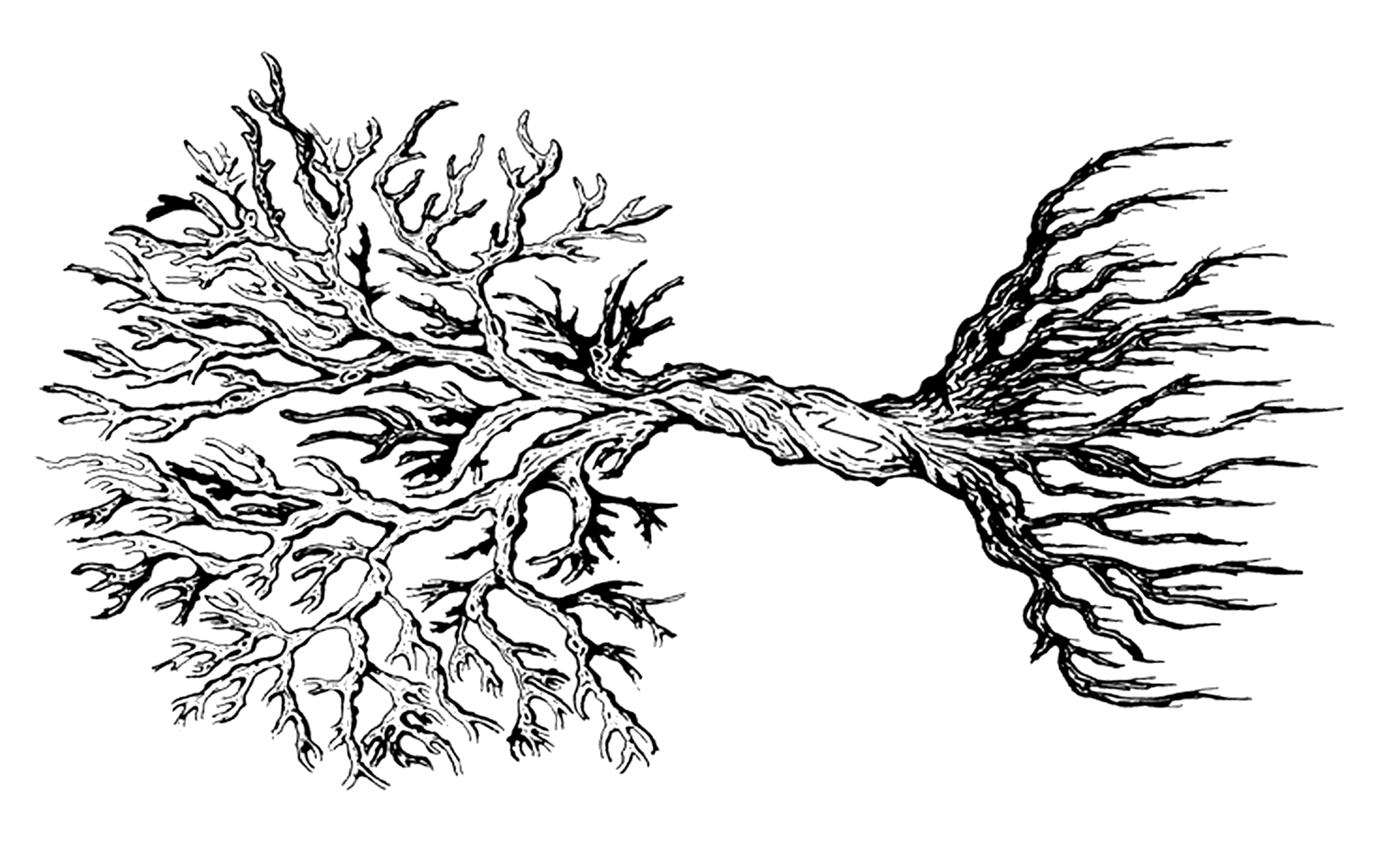 Tree of Life Tattoo: Browse Our Selection Now! (12 Ideas) | Inkbox™, image size:1690x2740