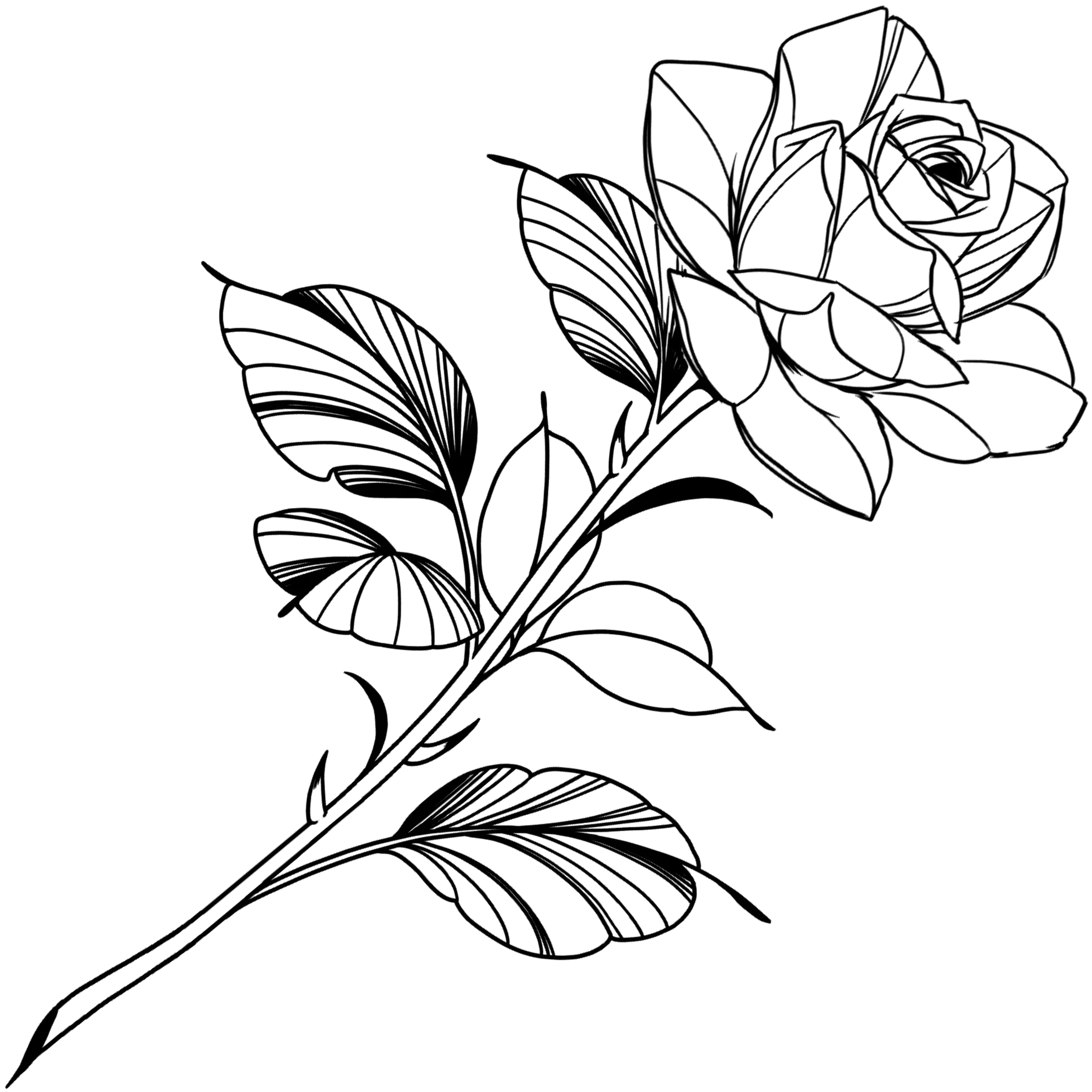 Rose and Thorn SemiPermanent Tattoo. Lasts 12 weeks. Painless and easy to apply. Organic ink