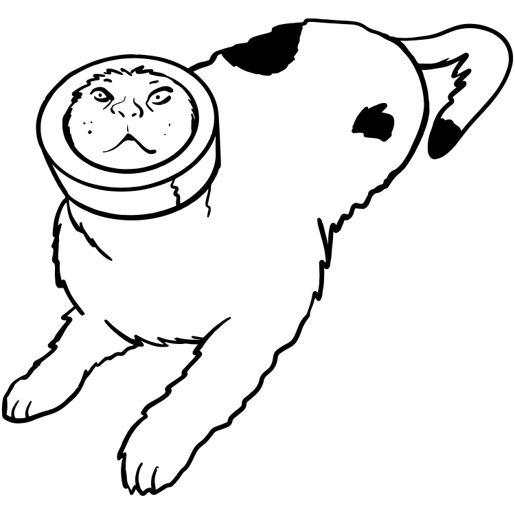 Cat Bread SemiPermanent Tattoo. Lasts 12 weeks. Painless and easy to