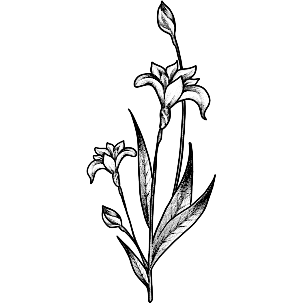 Black & White Iris Tattoos That Wow