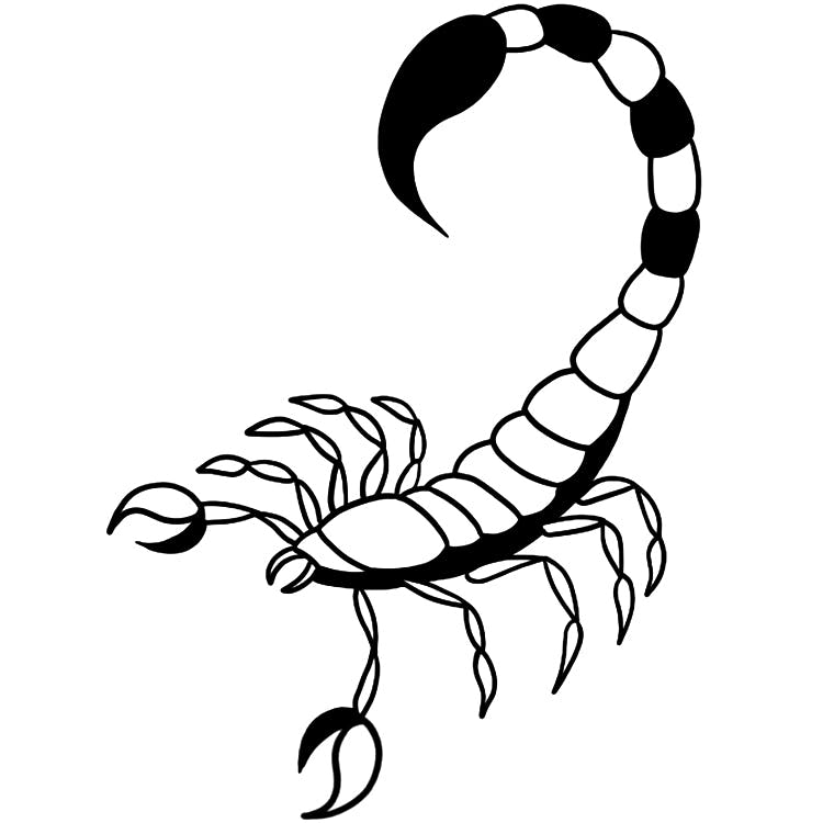 Desert Scorpio Tattoo - Semi-Permanent Tattoos by Inkbox™