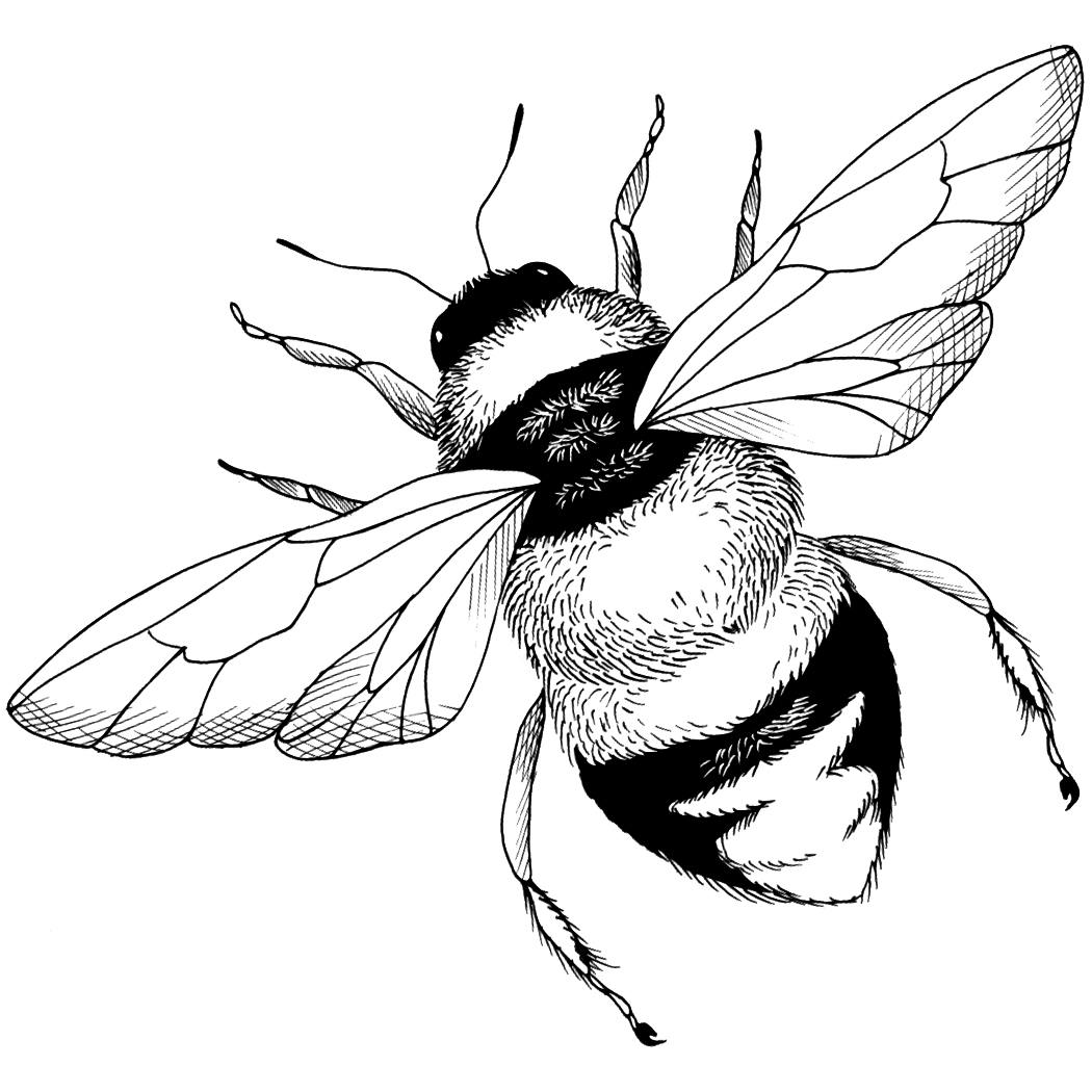 buzzing-bee-tattoos-inkbox-semi-permanent-tattoos