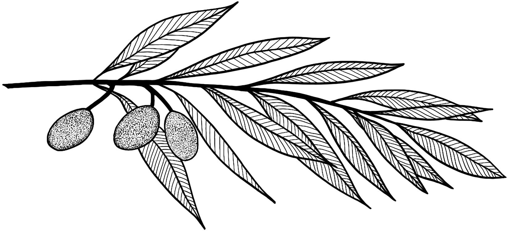 Calm Spirit SemiPermanent Tattoo. Lasts 12 weeks. Painless and easy