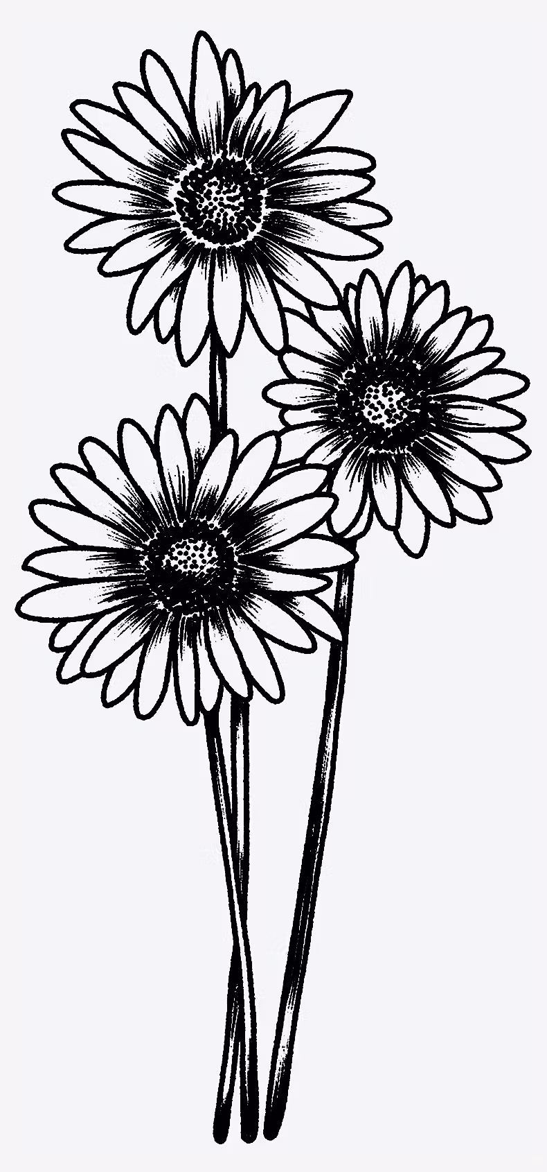 Flowers for Friends