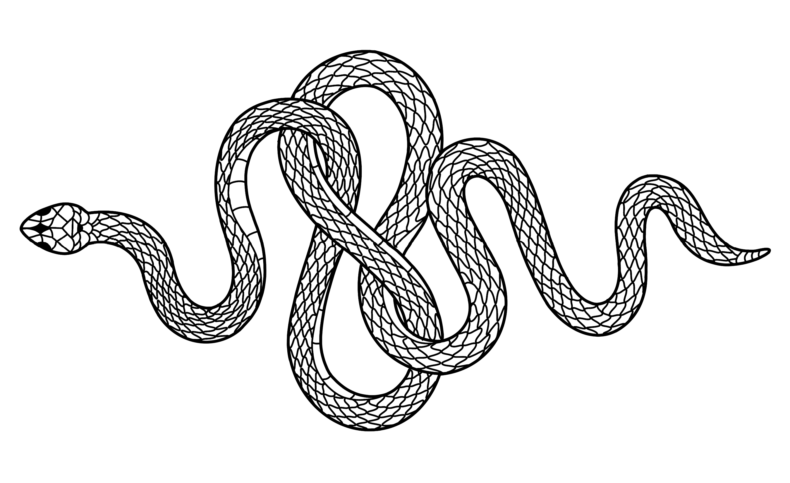 Spine Tattoos for Women: Snake Elegance Unveiled