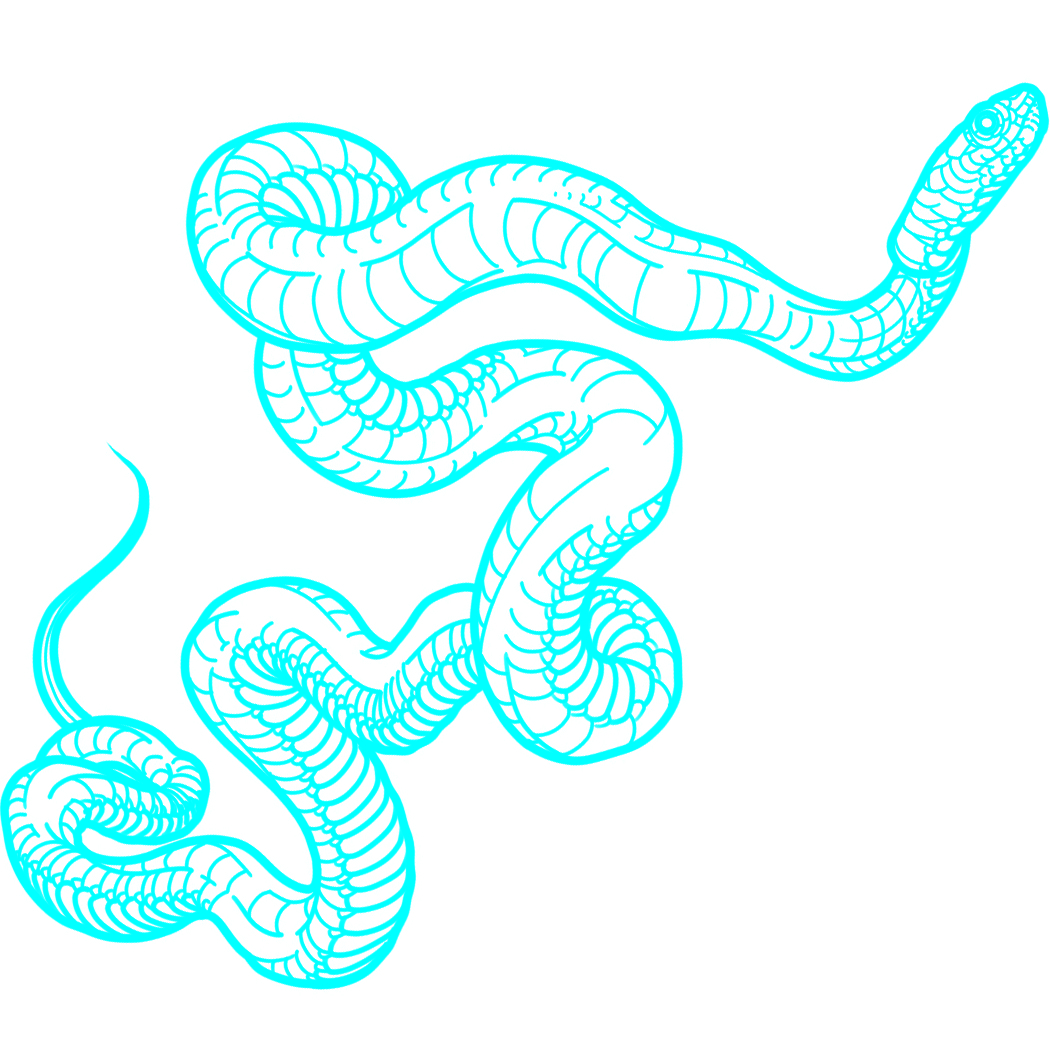 Ophidian Tattoo SemiPermanent Tattoos by inkbox™ Inkbox™