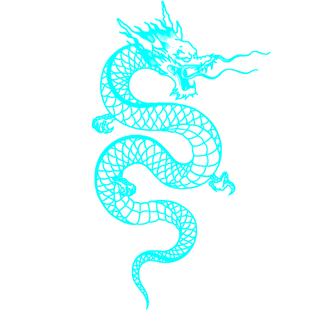 Erebus Semi-Permanent Tattoo. Lasts 1-2 weeks. Painless and easy ...