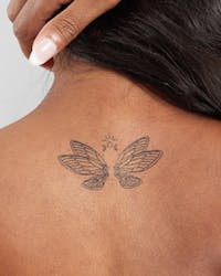 Fairy Wings