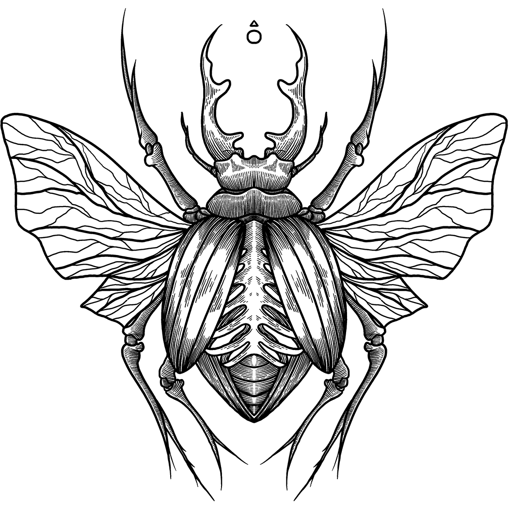 beetle-tattoos-unique-enchanting-designs-inkbox-semi-permanent