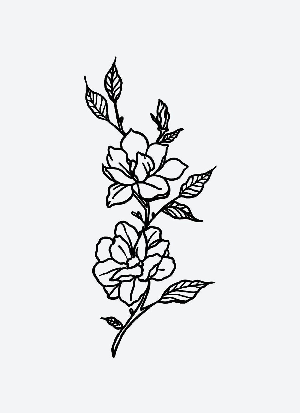 Magnolia Pack