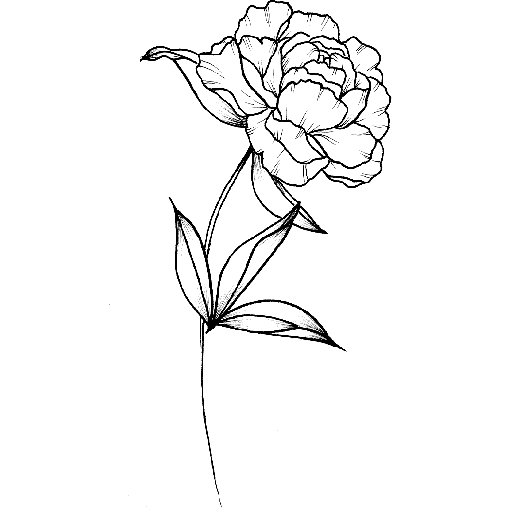 Black and White Carnation Tattoo Meaning