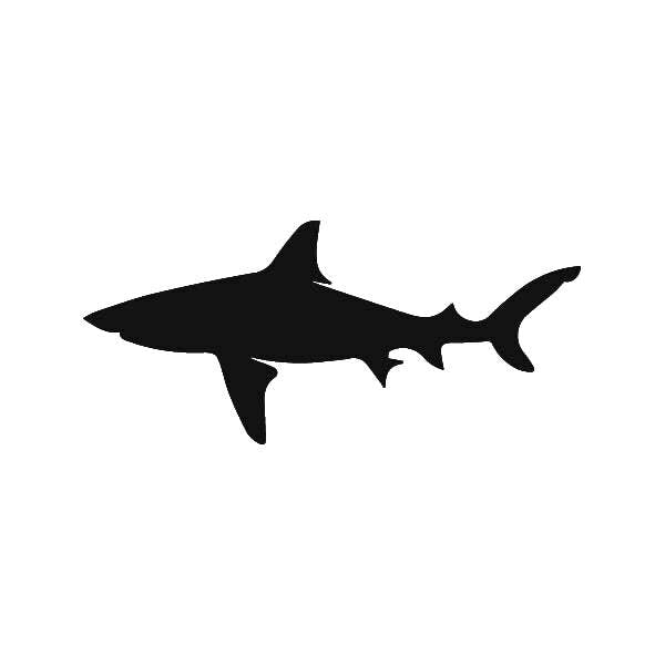 Shark Tattoo - Semi-Permanent Tattoos by inkbox™ | Inkbox™ | Semi ...