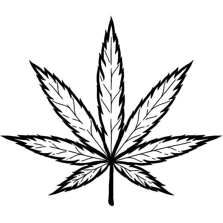 Sativa Tattoo - Semi-Permanent Tattoos by inkbox™ - Inkbox™