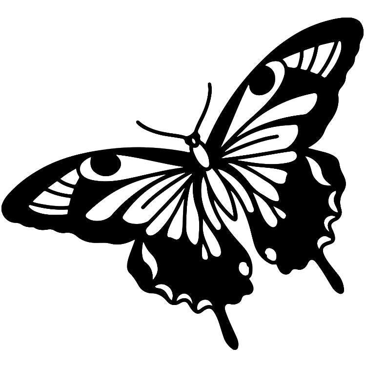 Flutterfly Tattoo - Semi-Permanent Tattoos by Inkbox™