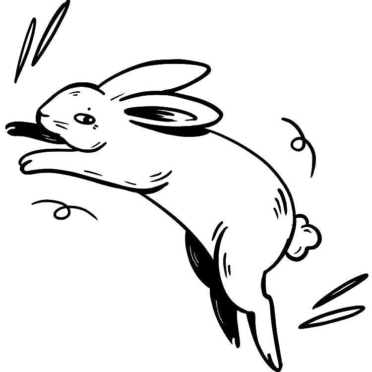 The Jade Rabbit Tattoo - Semi-Permanent Tattoos by Inkbox™