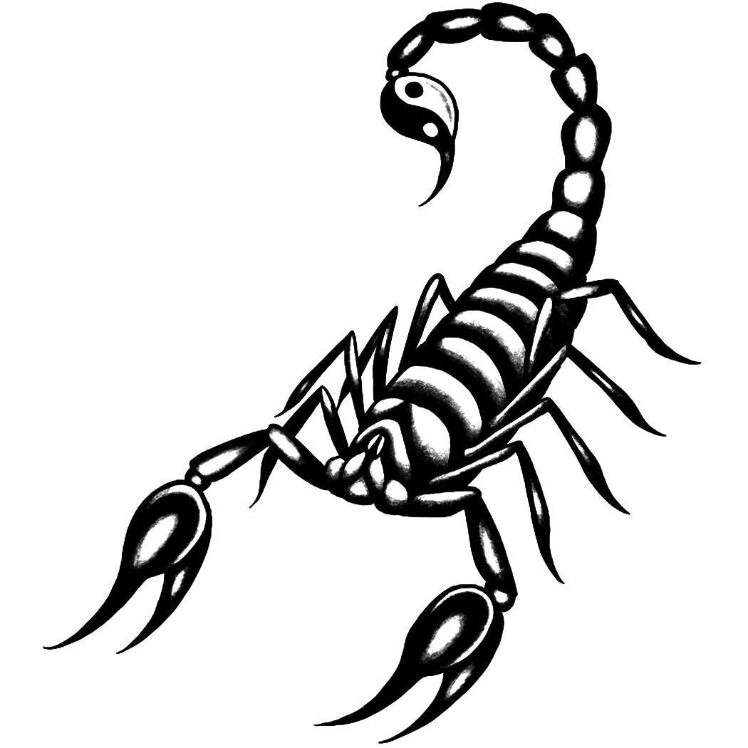 Scorpion Harmony Tattoo - Semi-Permanent Tattoos by Inkbox™