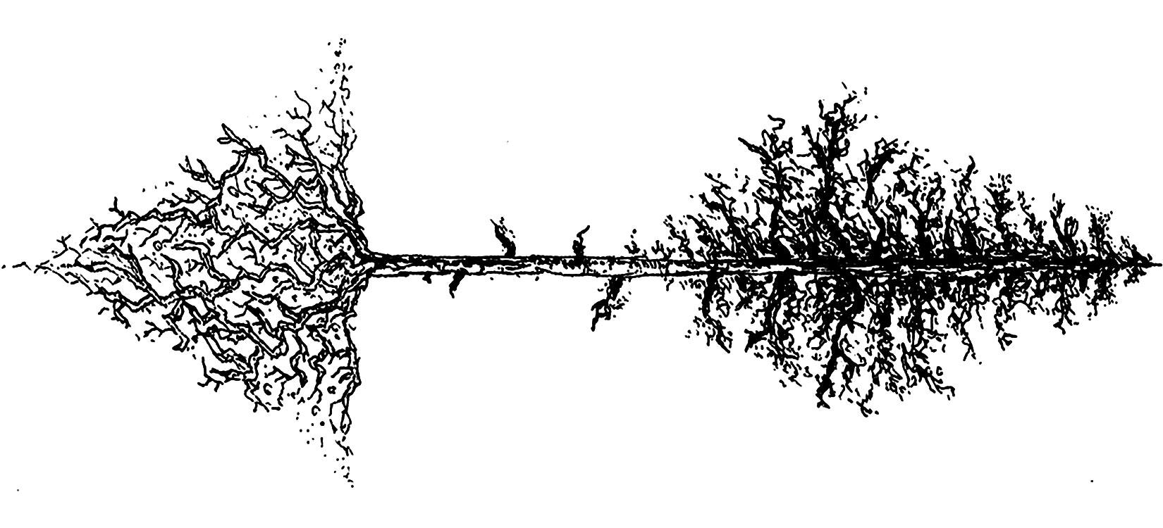 AshxTat in Garden Grove | Groupon, image size:790x1690