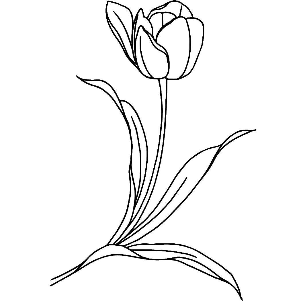 Simple Tulip Tattoo - Semi-Permanent Tattoos by Inkbox™