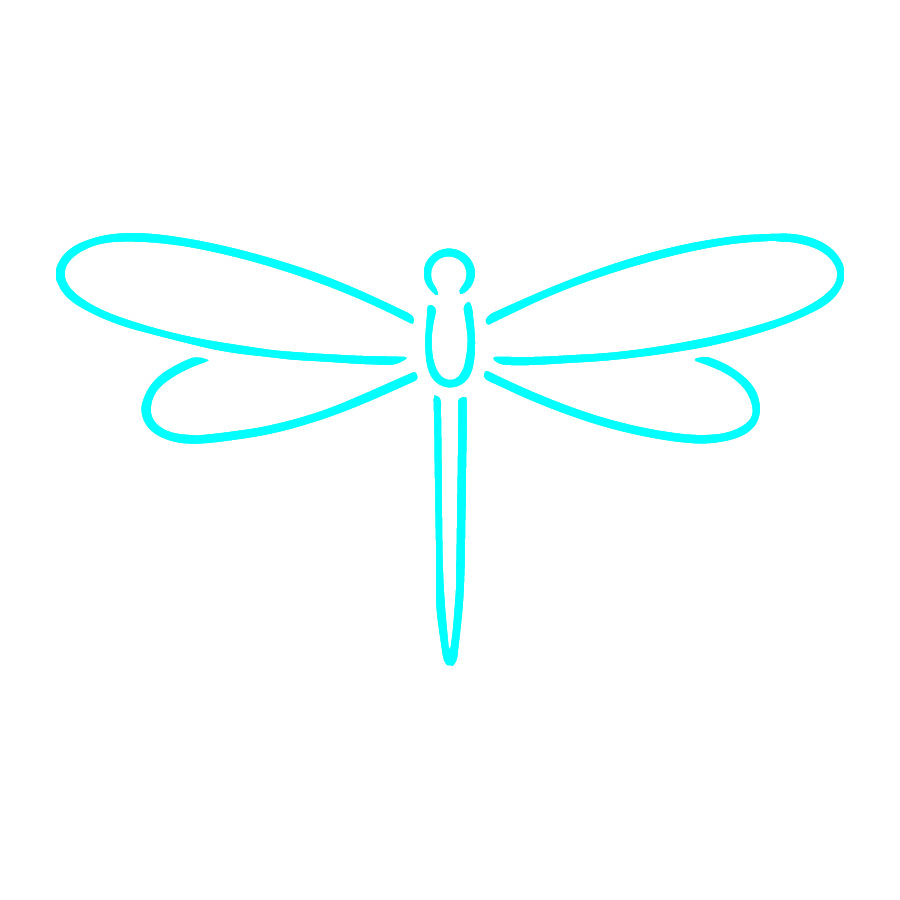 Anax SemiPermanent Tattoo. Lasts 12 weeks. Painless and easy to apply